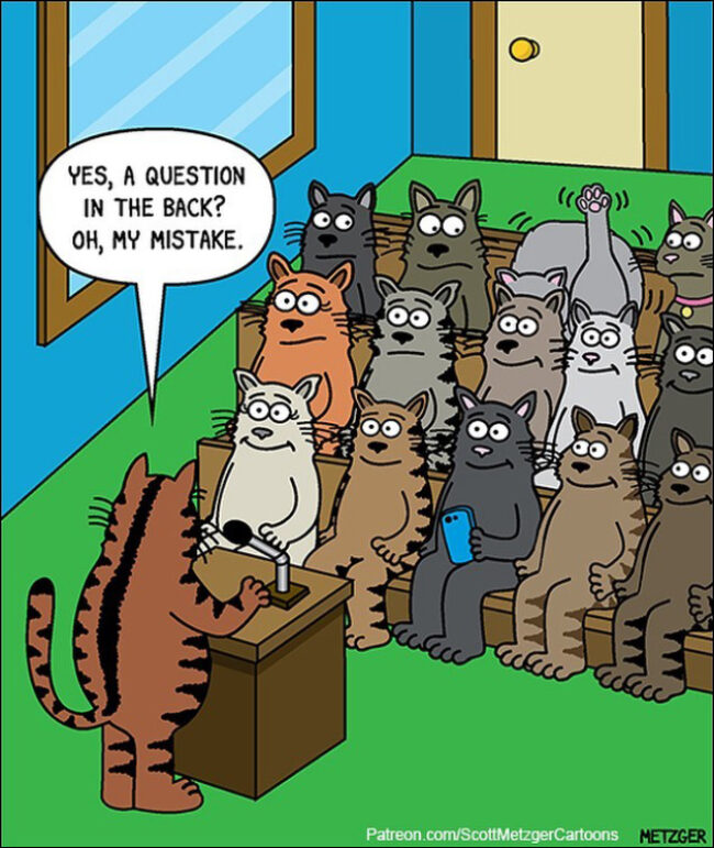 37 Funniest Single-Panel Comics About Cats And Other Silly Situations ...