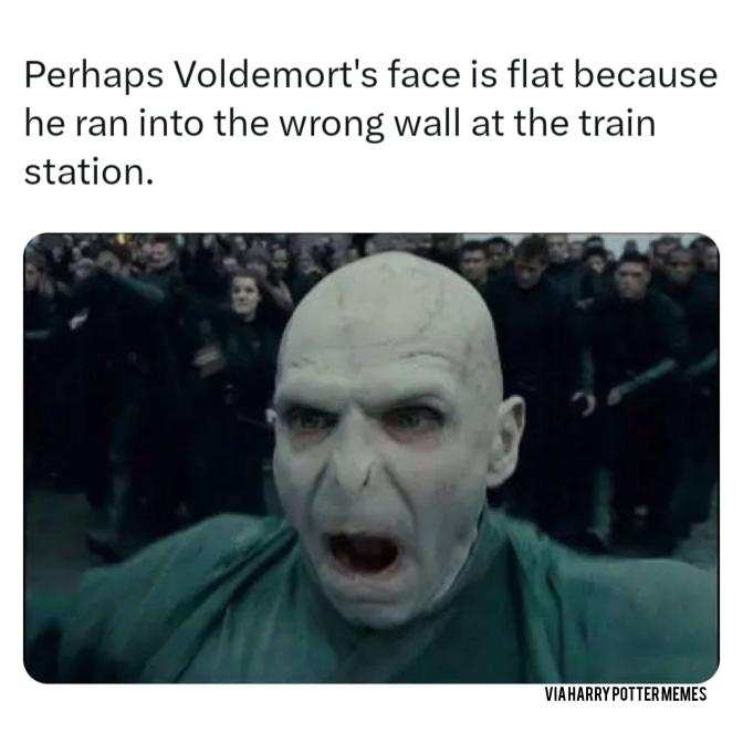 Voldemort, Harry Potter Memes