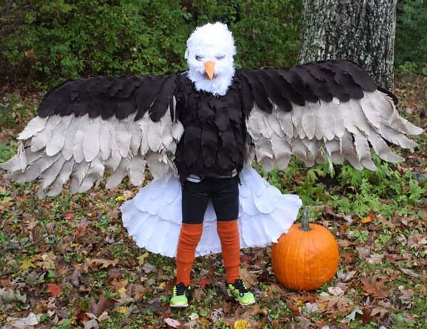 No Sew Bald Eagle Costume  Eagle costume, Halloween costumes for kids,  Bird costume kids