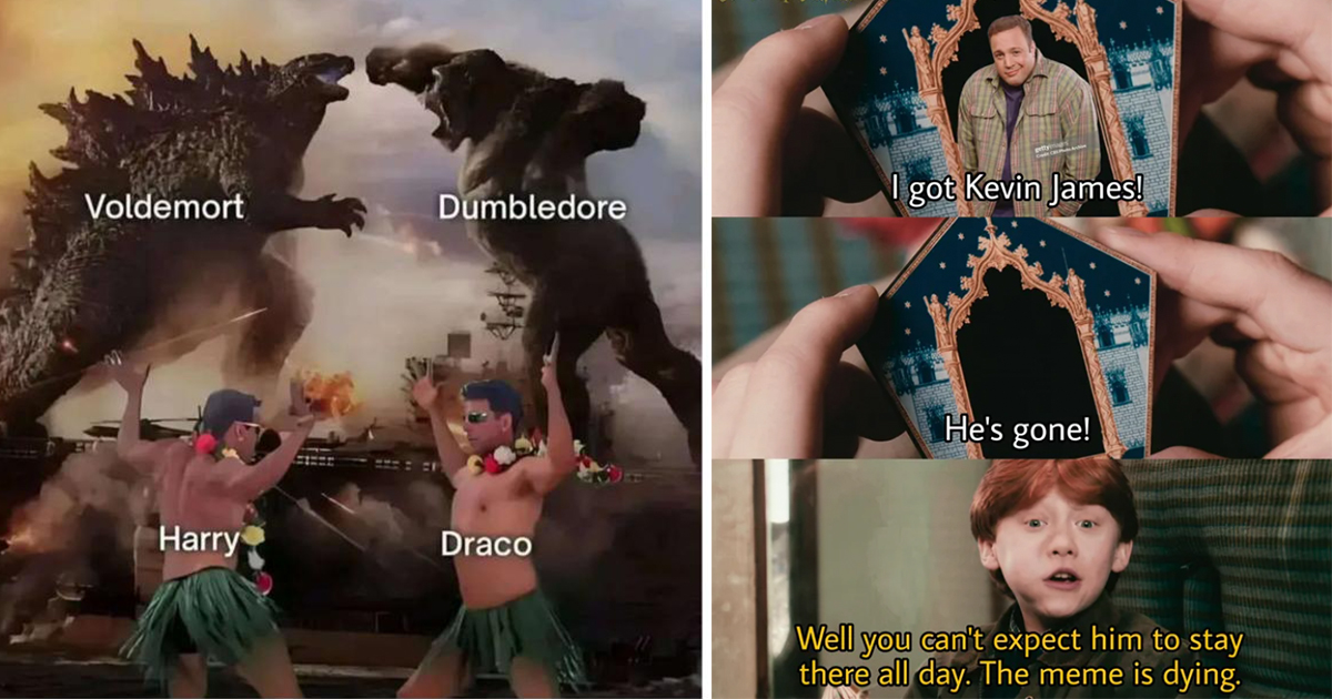 Harry Potter Memes - Harry and Draco.