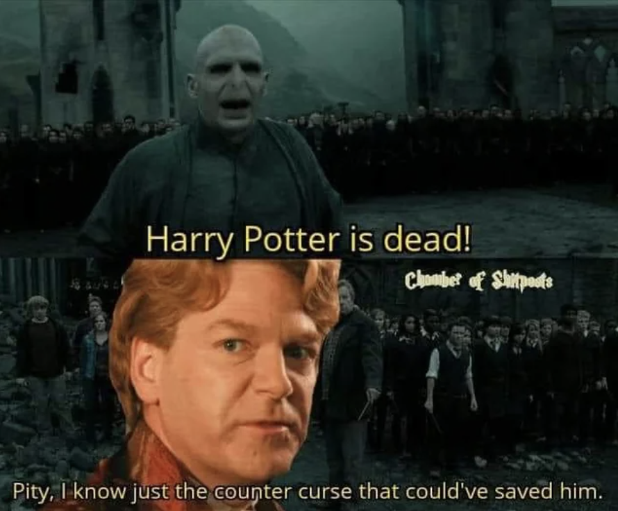 20 'Harry Potter' Memes To Prepare You For The Upcoming HBO 'Harry Potter'  Series