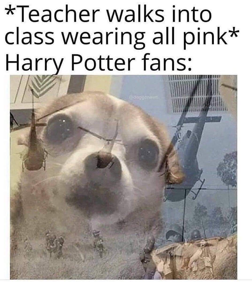 The Best Harry Potter Memes of the Week (October 10, 2022) - Memebase - Funny  Memes