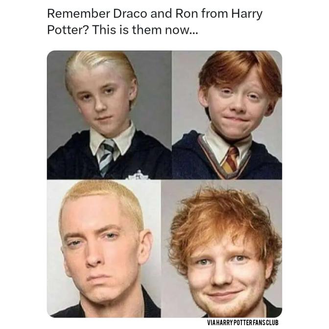 Draco ! : r/HarryPotterMemes