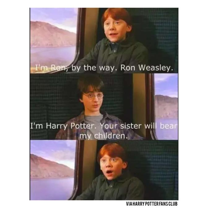 112 Harry Potter Memes That Will ~Always~ Make You Laugh in 2023