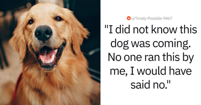 'He says it's a service animal': Homeowner's Refusal Of Friend's ...