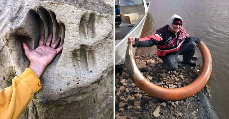 40 Times People Accidentally Stumbled Upon Interesting Archaeological Finds
