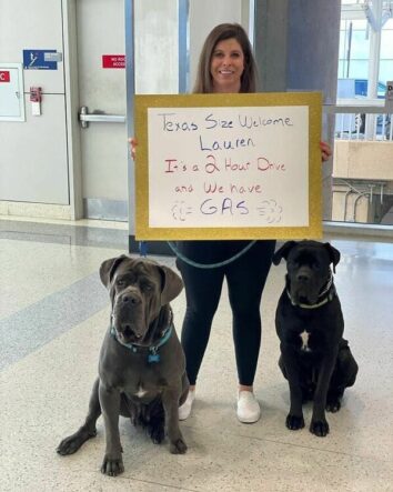 40 Funny Airport Pickup Signs That Made For An Unforgettable Welcome