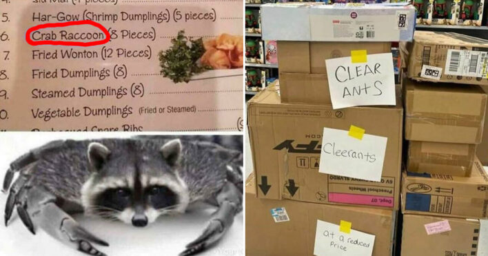 40 Funny English Grammar Fails That Turn Language Mistakes Into Laughter