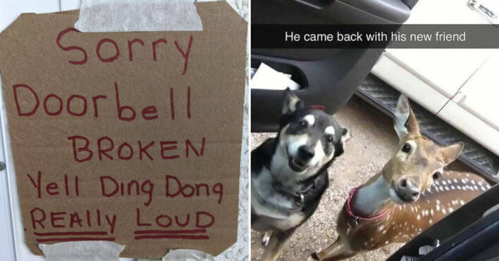 42 Funny Pictures Add A Spark Of Humor To Your Morning Routine