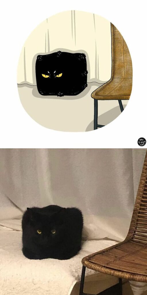 50 Funniest Internet-Famous Cat Pictures Turned Into Comics By Artist ...