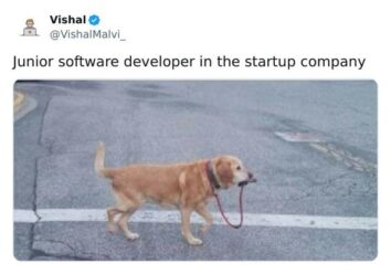 40 Coding and IT Memes That'll Hit Computer Nerds Harder Than a Server ...