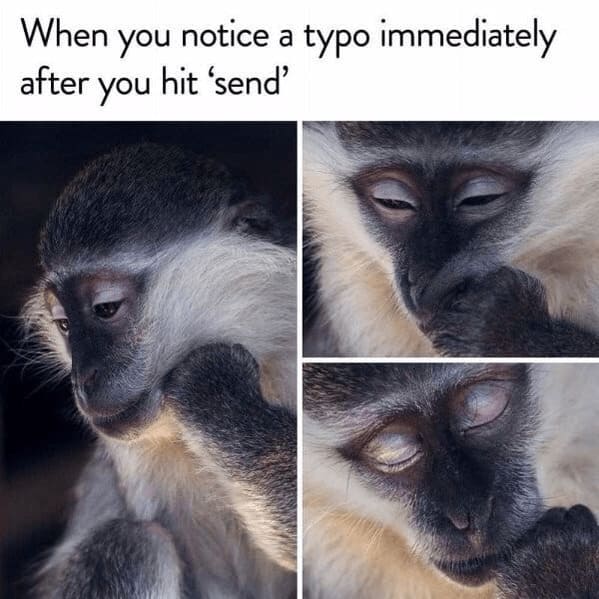 15 Hilarious Monkey Memes To Brighten Your Day  Funny monkey memes, Monkey  memes, Funny monkey pictures