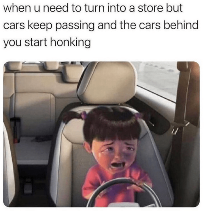 28 Relatable Driving Memes For Folks Who Don't Need A Self-Driving Car ...