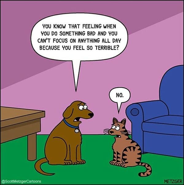 Cartoonist Scott Metzger Delights Pet Owners With Hilarious Cartoons ...