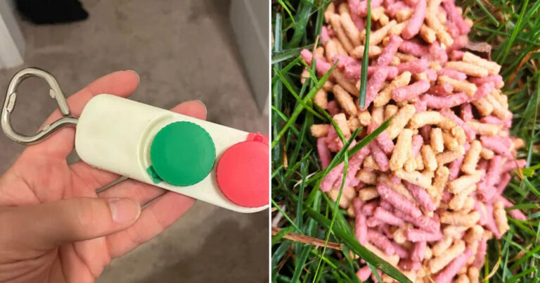 20 Times People Asked “What Is This Thing?” And The Internet Delivered