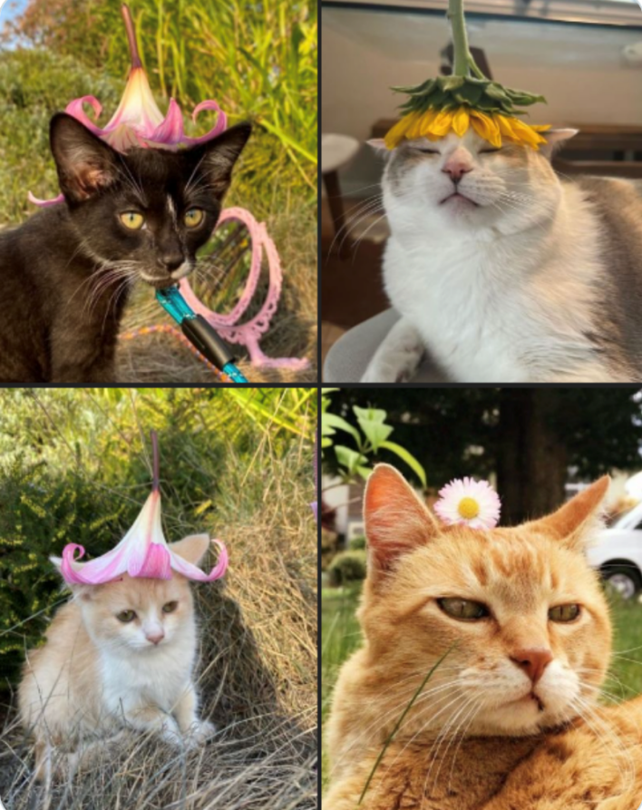 Work Week Animals 50 Wholesome Animal Pictures And Memes To Start Your Post-Thanksgiving ...