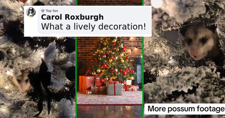 Woman Finds A Possum Hiding In Her Fake Christmas Tree After It Blows Its Cover With A Sneeze