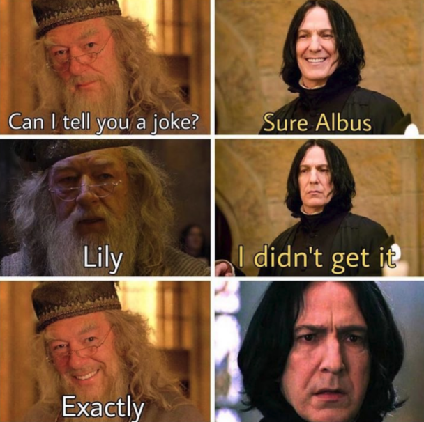 30 Dumbledore Memes In Loving Memory Of The Headmaster Of Our Hearts