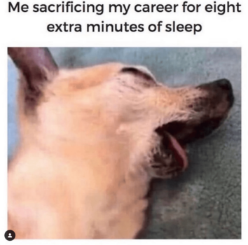 50 Work Memes For Everyone Using PTO Before The End Of The Year