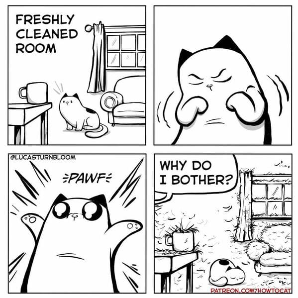 40 Funny Cat Comics By Lucas Turnbloom That Hilariously Capture Life ...