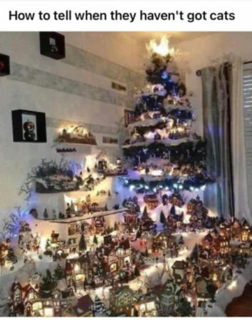 40 Funny Christmas Cat Memes Celebrating The Most Chaotic Holiday Cat