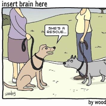 40 Funny Single-Panel Comics From Paul Woods' 'Insert Brain Here' Series