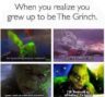 40 Funny Grinch Memes For When Your Heart Feels Two Sizes Too Small