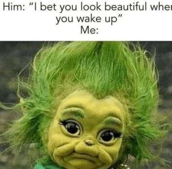 40 Funny Grinch Memes For When Your Heart Feels Two Sizes Too Small