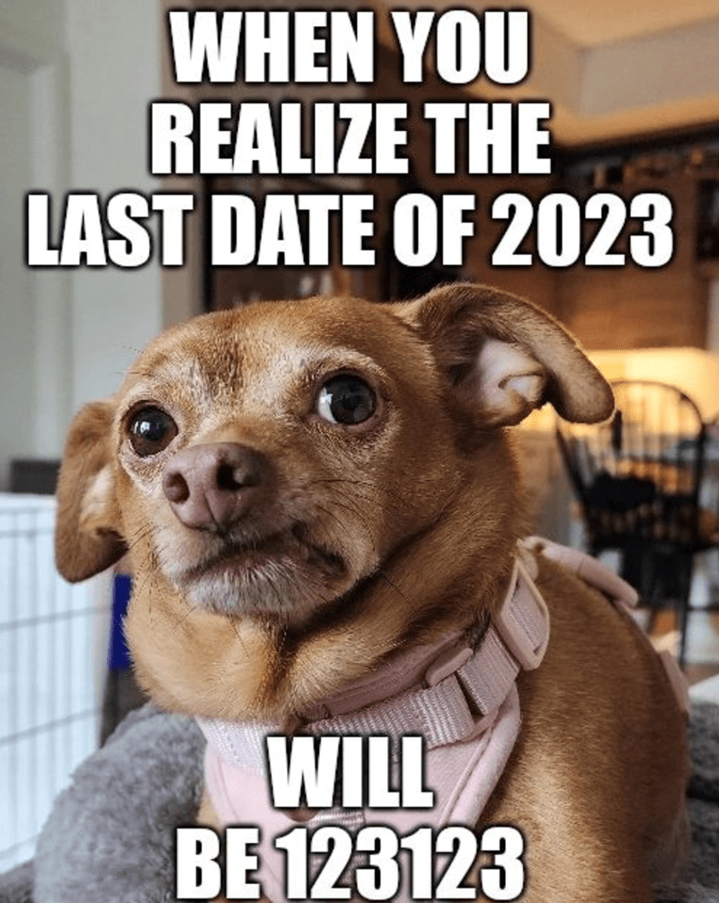 37 New Year's Memes You Don't Have To Resolve To Read In 2024
