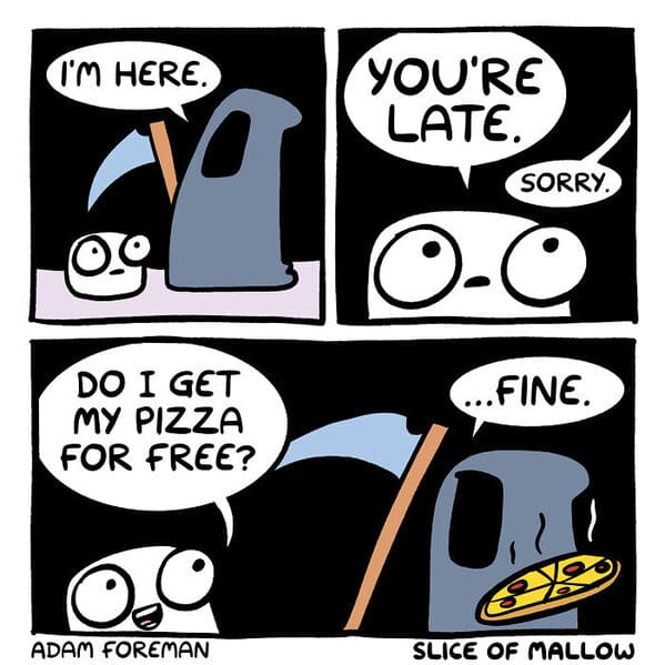 30+ Hilariously Relatable "Slice Of Mallow" Comics By Adam Foreman - Jarastyle