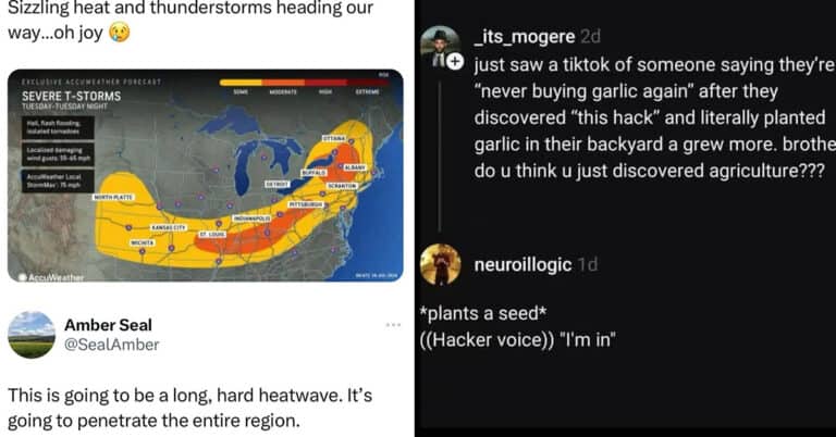 39 Funny Times People Strolled Into The Comments And Hit A Home Run This Week (July 20, 2024)