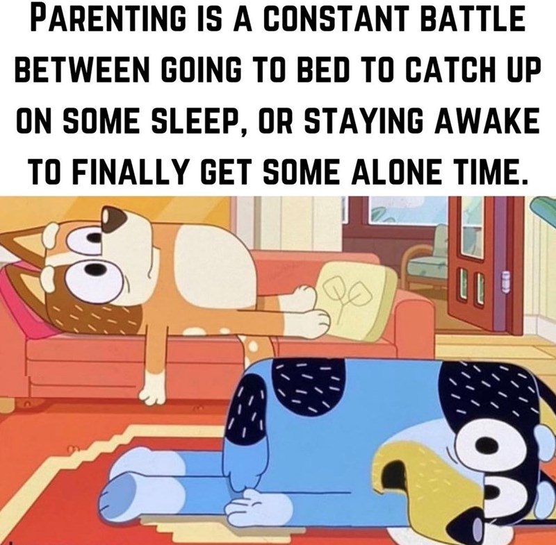 40+ Funny "Bluey" Memes Parents Will Feel In Their Bones - Jarastyle