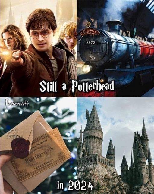 25 Funny Harry Potter Memes Even A Muggle Can Enjoy (January 23, 2024) - Jarastyle