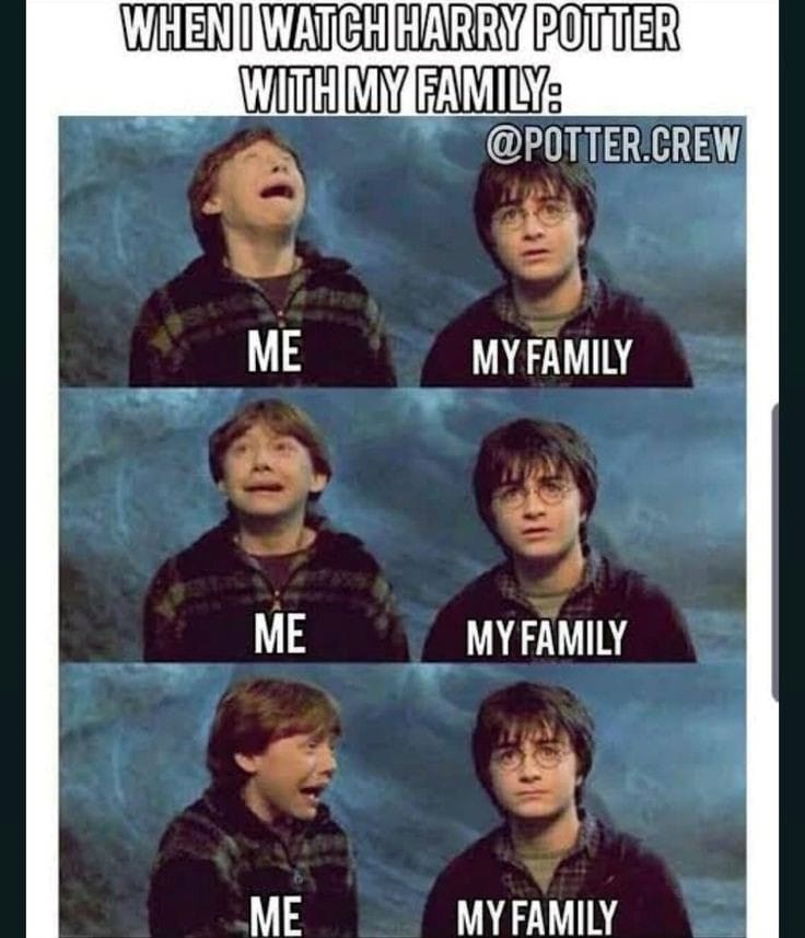 25 Funny Harry Potter Memes Even A Muggle Can Enjoy (January 23, 2024) - Jarastyle