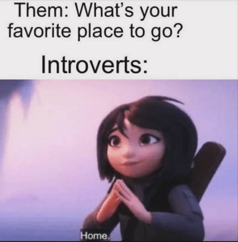 30 Funny Introvert Memes For Anyone With A Shy Soul In Their Life (January 14, 2024) - Jarastyle