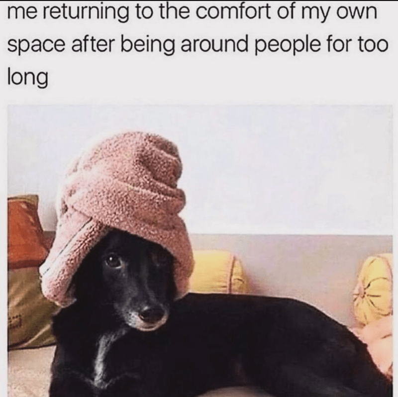 30 Funny Introvert Memes For Anyone With A Shy Soul In Their Life (January 14, 2024) - Jarastyle