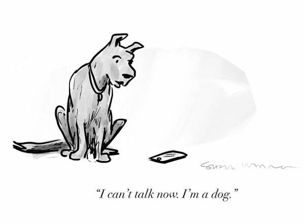 45 Funny Single-Panel Comics By New Yorker Cartoonist Sofia Warren - Jarastyle