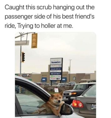 45 Hilariously Relatable Memes For Long-Distance Lovers Braving The ...