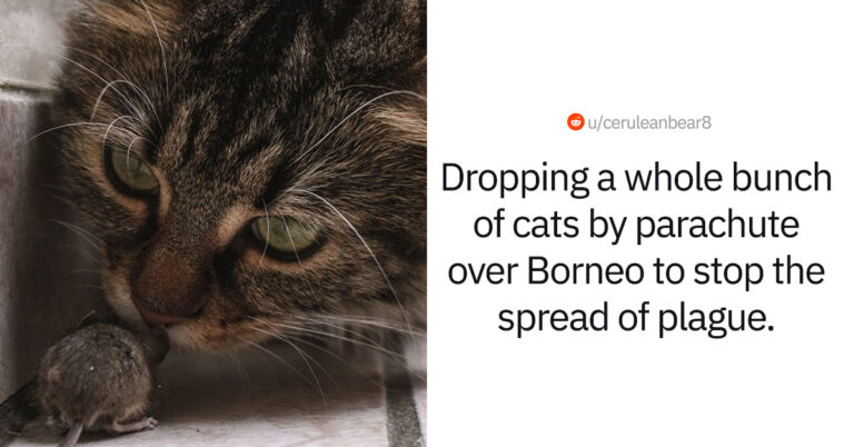 30+ Ideas That Sounded Terrible On Paper But Turned Out Brilliant