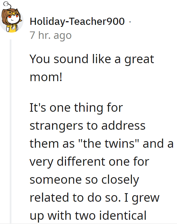 Mother Of Identical Twins Excludes Aunt From Family Events Because She Refuses To Address Them As Individuals - Jarastyle