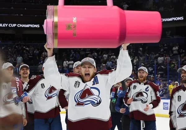 20+ Funny Stanley Cup Memes To Keep You Sipping And Smirking Through The Mug Madness - Jarastyle