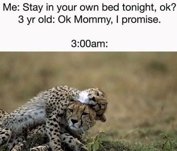 50 Hilariously Relatable Memes About Life With Toddlers For The Sleep-Deprived Parent (January 9, 2024) - Jarastyle