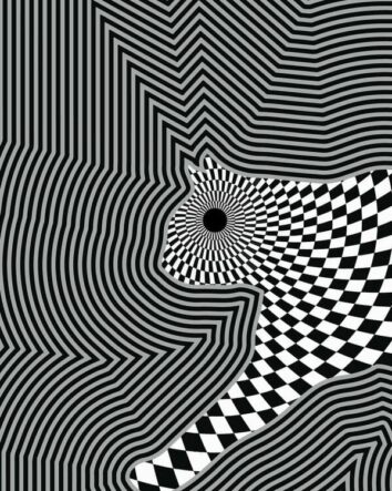 45 Trippy Optical Illusions That'll Mess With Your Head By Artist ...