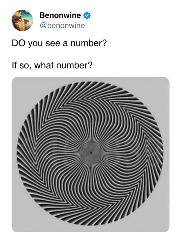 "Do You See A Number?" Viral Optical Illusion Of Hidden Figures In A Black-And-White Swirl Sparks Diverse Answers - Jarastyle