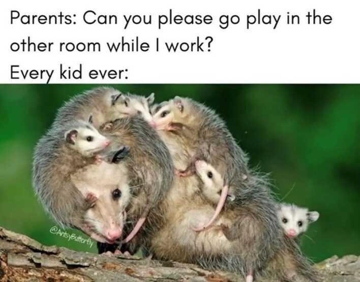 30+ Parenting Memes For Moms And Dads Trying And Sometimes Succeeding ...