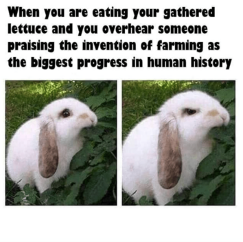 30+ Foraging Memes That Made Us Want To Go Outside And Find A Mushroom