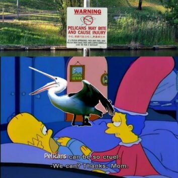 40 Of The Funniest Animal Memes That Made Us Smile This Week (February