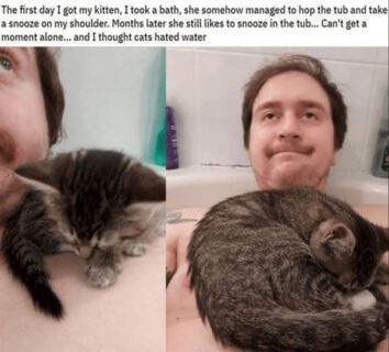 70 Funny Animal Memes That Ruled The Internet This Month (February 29