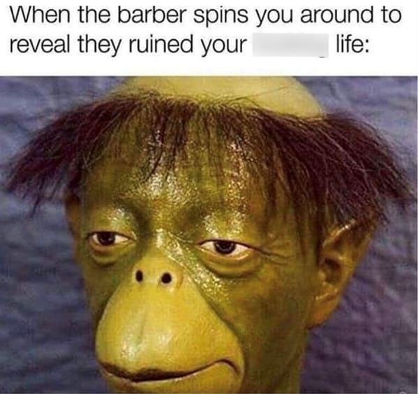 35 Funny Haircut Memes That Are A Cut Above The Rest (February 12, 2024) - Jarastyle