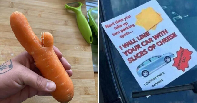 50 Funny And/Or Random Pictures Guaranteed To Make Your Day More ...